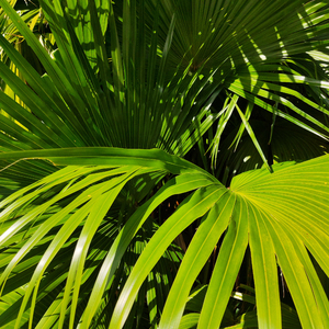 99久久99久久免费精品蜜桃
